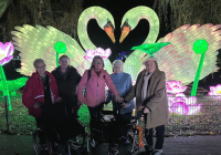 Krefeld China Lights 2.jpg