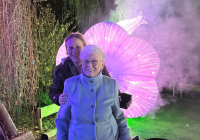 Krefeld China Lights 8.jpg