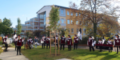 Neuwied Musiknachmittag 2021