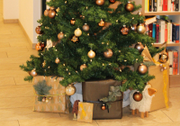 Geldern Vorweihnachtszeit 2022 1.jpg