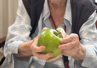 Krefeld Apfelkuchen 2025 3.jpg