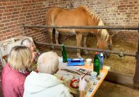Krefeld Ausflüge Pferdehof 2022 9.jpg