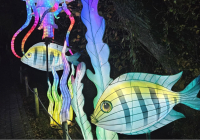 Krefeld China Lights 3.jpg