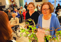 Krefeld Rente Suermondt-Ahrendt 1.jpg