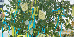Neuwied Maibaum 2022