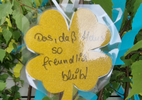 Neuwied Maibaum 6.jpg