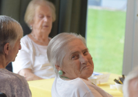 Dorsten_Sommerfest_6.jpg