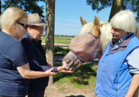 Krefeld Reiterhof 4.jpg