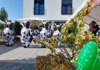 Neuwied Sommerfest 2024 20.jpg