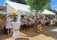 Neuwied Sommerfest 2025 2.jpg