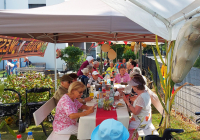 Neuwied Sommerfest 2024 12.jpg