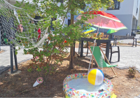 Neuwied Sommerfest 2025 15.jpg