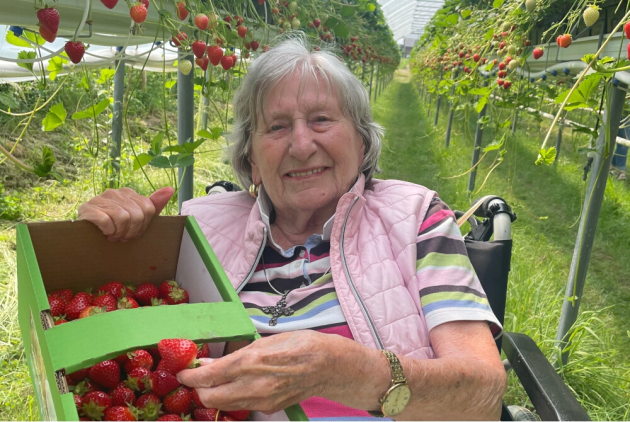 Dorsten: Bewohnerin mit selbst gepflückten Erdbeeren.