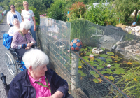 Neuwied Schrebergarten 6.jpg