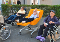 Geldern Alpakabesuch 5.jpg