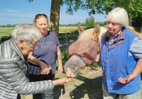 Krefeld Reiterhof 5.jpg