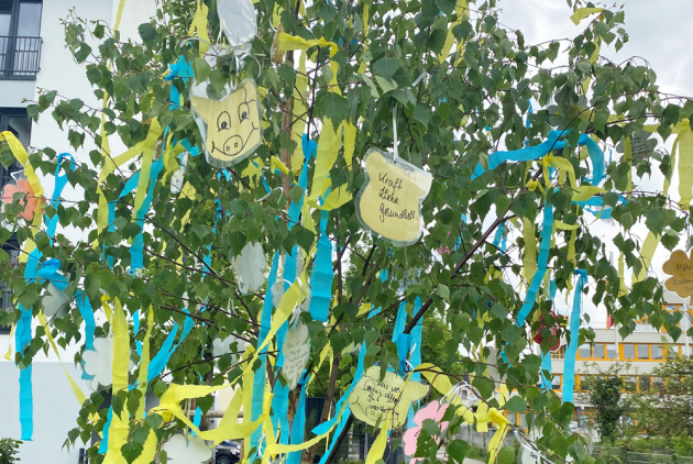 Neuwied Maibaum 2022