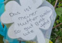 Neuwied Maibaum 5.jpg