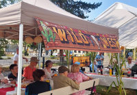 Neuwied Sommerfest 2024 18.jpg