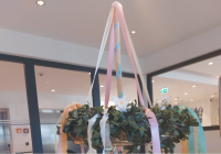Dorsten Maibaum 2026 3.jpg