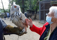 Geldern_Tierpark_4.jpg