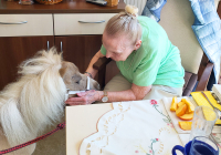 Krefeld Ponybesuch 10.jpg