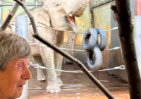 Krefeld Zoobesuch Juni 2023 10.jpg
