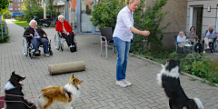 Krefeld Hundebesuch