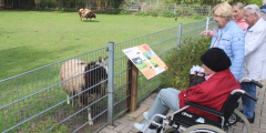 Geldern: Ausflugsgruppe vor Tiergehege.