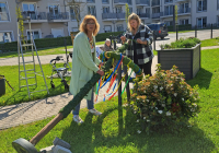 Geldern_Maibaum 2023_5.jpg
