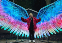 Krefeld China Lights 1.jpg