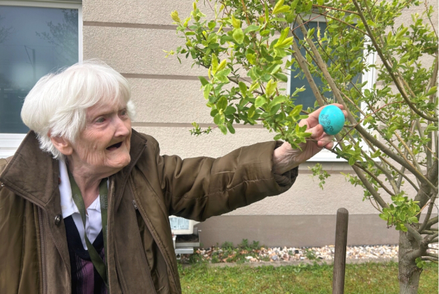 Krefeld: Bewohnerin findet Osterei im Baum.