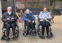 Krefeld Weihnachtsmarkt 2025 3.jpg