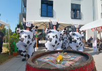 Neuwied Sommerfest 2024 19.jpg