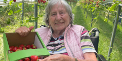 Dorsten: Bewohnerin mit selbst gepflückten Erdbeeren.