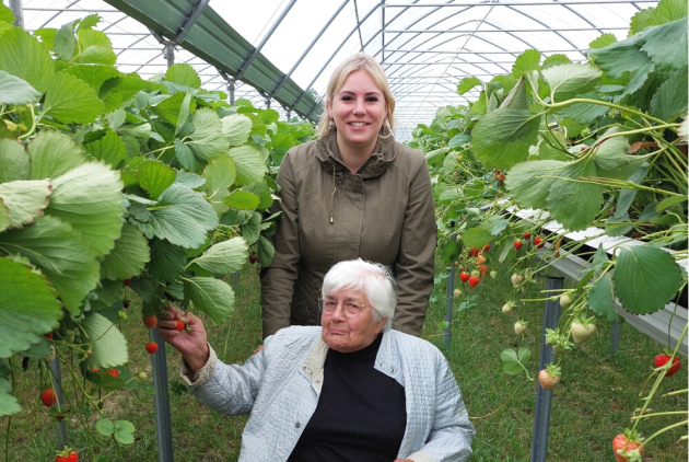 Dorsten: Bewohnerin pflückt mit Begleiterin Erdbeeren auf dem Hof Umberg.