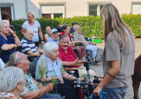 Geldern Alpakabesuch 12.jpg
