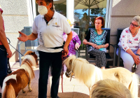 Krefeld Ponybesuch 18.jpg
