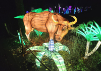 Krefeld China Lights 5.jpg