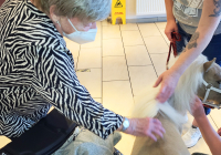 Krefeld Ponybesuch 14.jpg