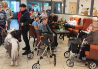 Krefeld Ponybesuch 2025 6.jpg