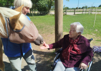 Krefeld Reiterhof 6.jpg