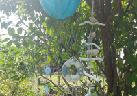 Neuwied Schrebergarten 2.jpg