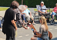 Geldern Alpakabesuch 6.jpg