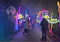 Krefeld China Lights 4.jpg