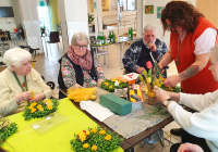 Krefeld Frühlingserwachen 2023 2.jpg