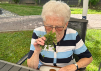 Krefeld Mai 2025 16.jpg
