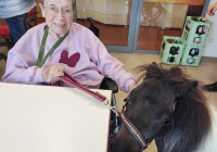 Krefeld Ponybesuch 2025 7.jpg