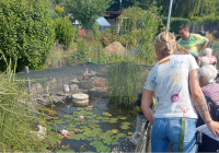 Neuwied Schrebergarten 5.jpg