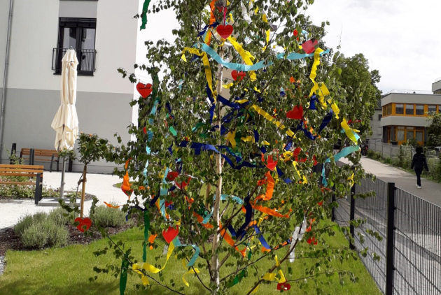 Maibaum BELLINI Neuwied 2020